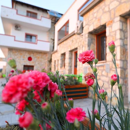 Vila Dena Vlorë 外观 照片