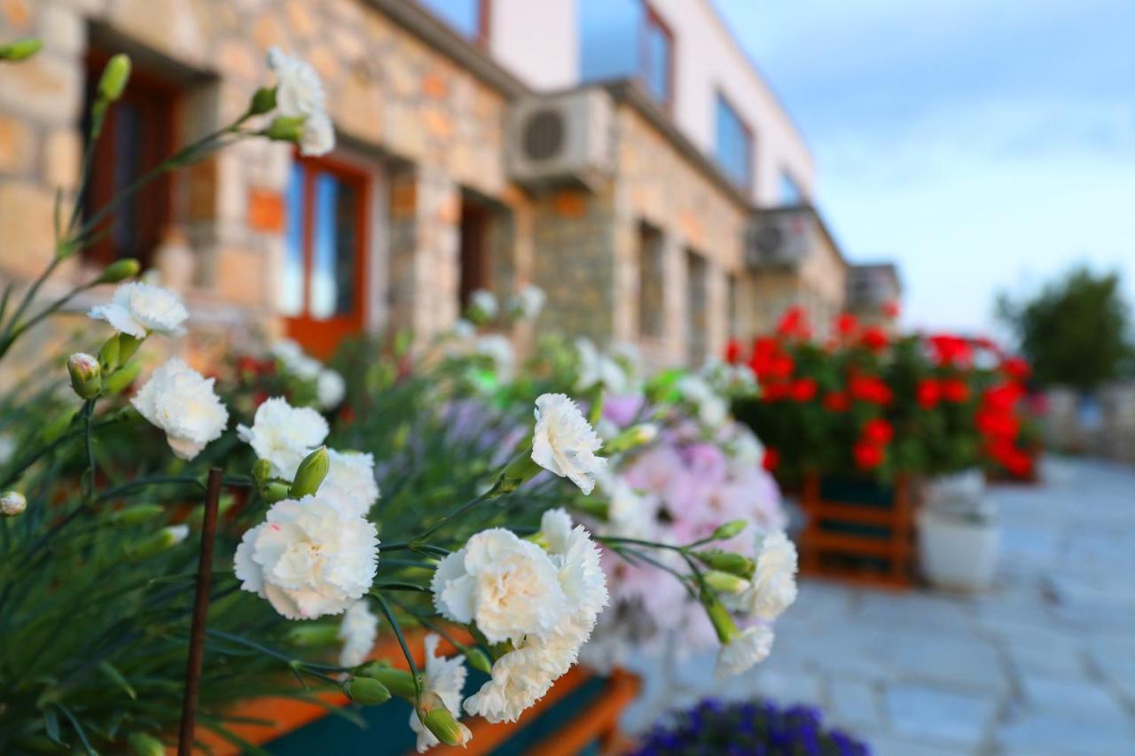 Vila Dena Vlorë 外观 照片