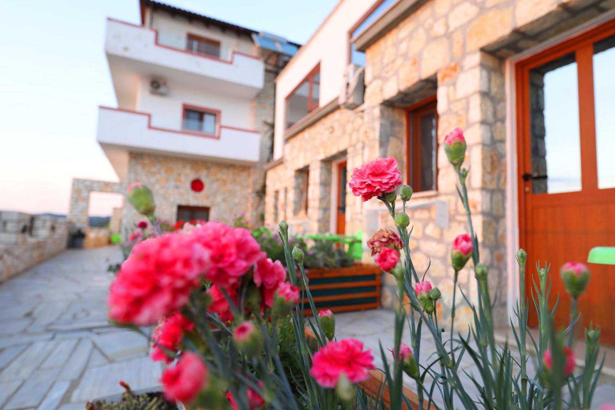 Vila Dena Vlorë 外观 照片