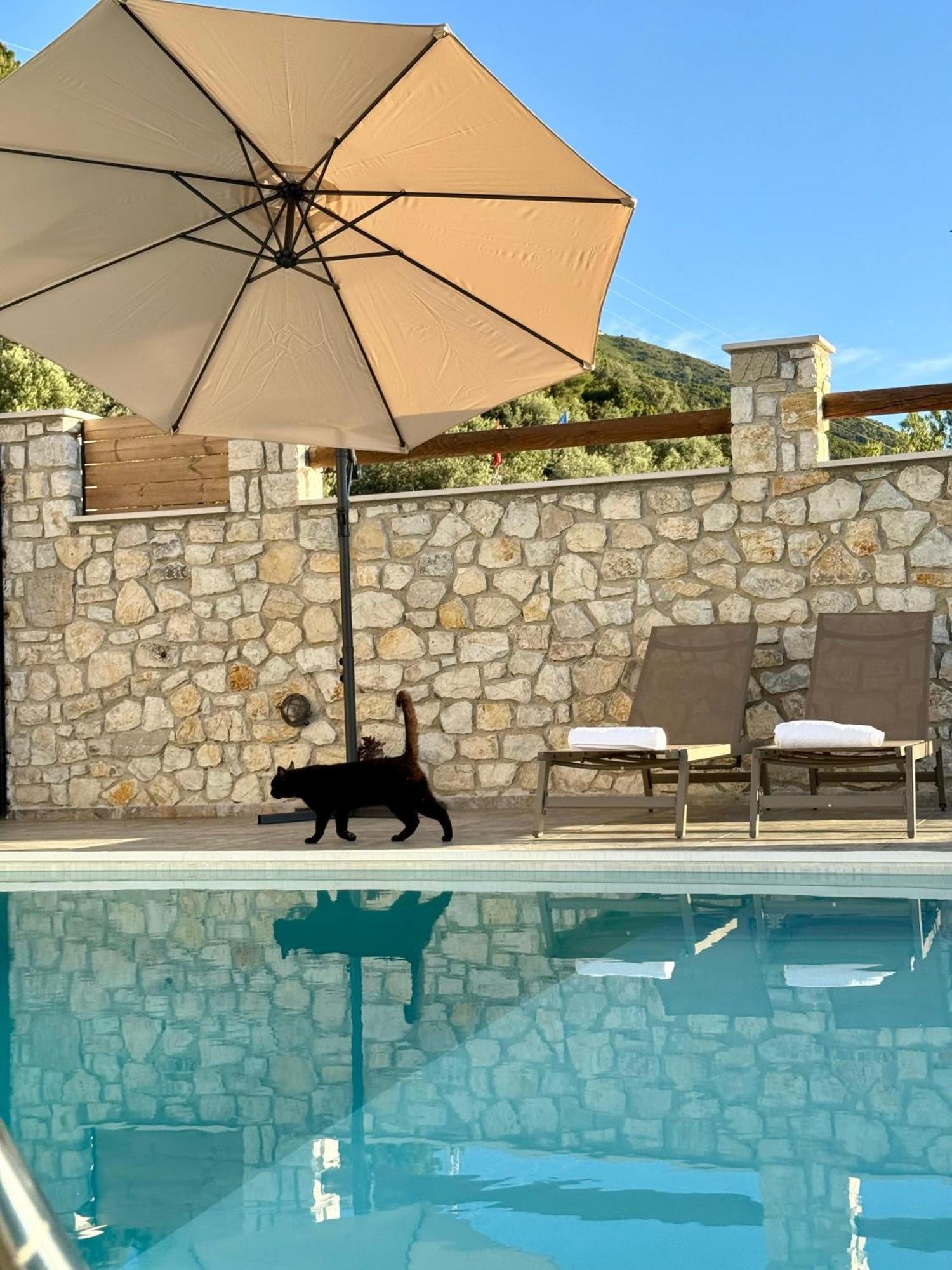 Vila Dena Vlorë 外观 照片